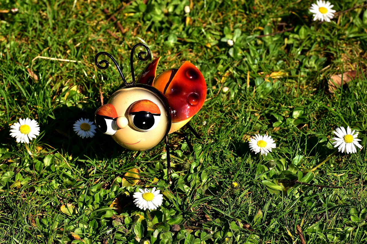 ladybug sheet colorful free photo