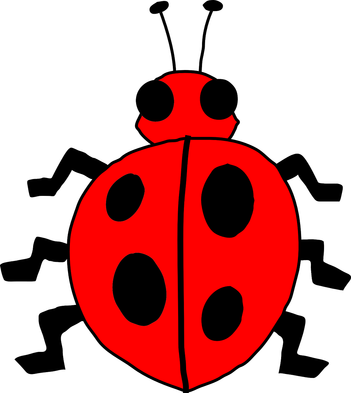 ladybug ladybird beetle free photo