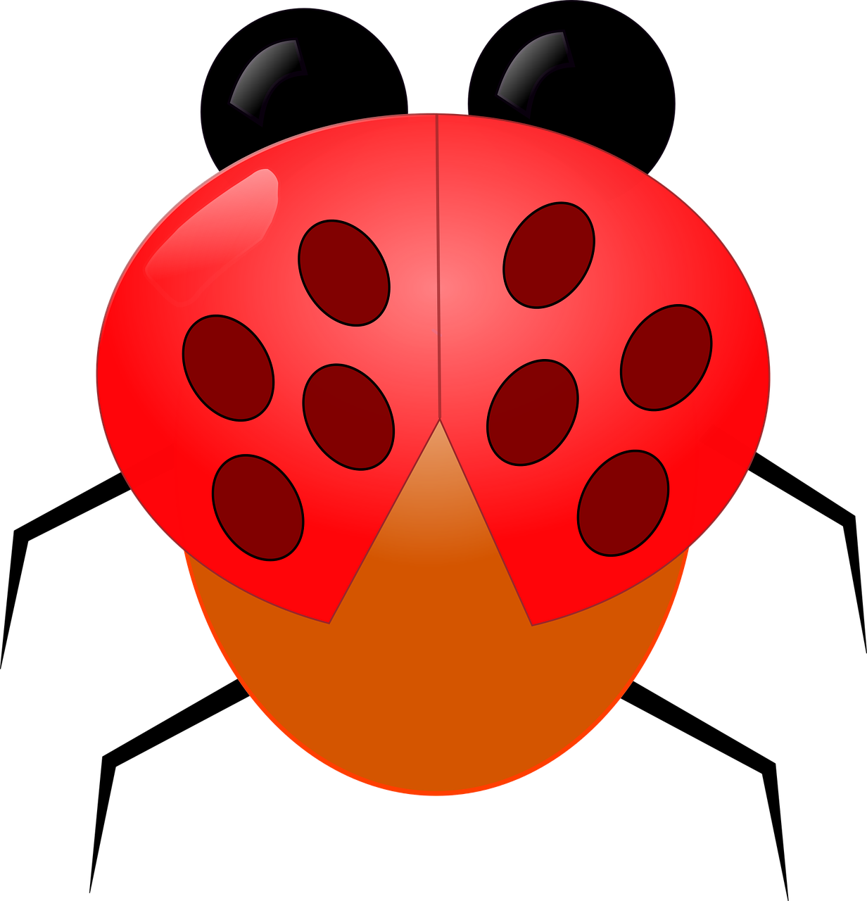 ladybug animal insects free photo