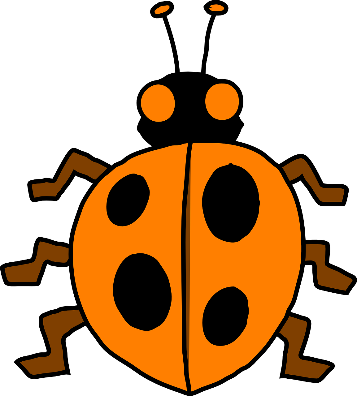 ladybug orange black free photo