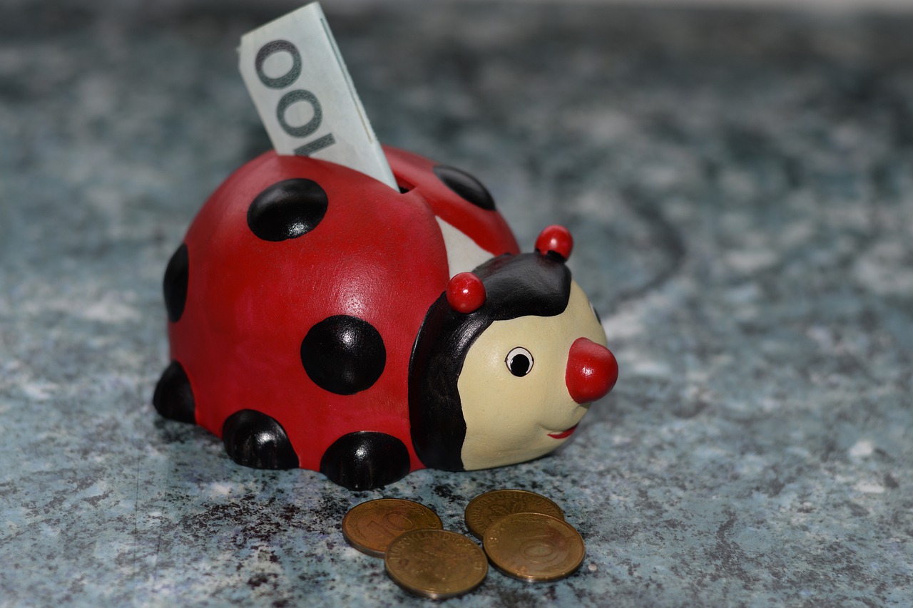 ladybug  piggy bank  money free photo