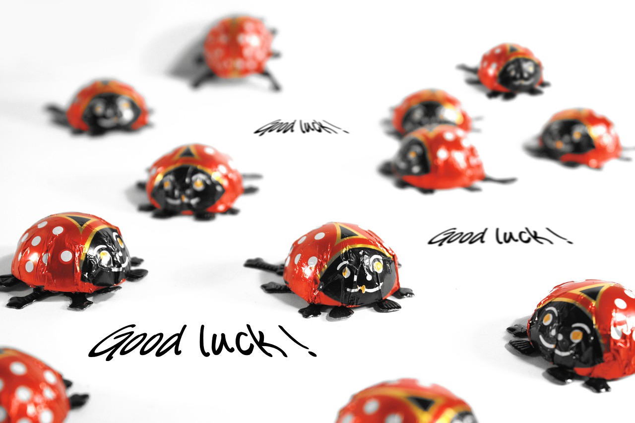 ladybug luck greeting card free photo