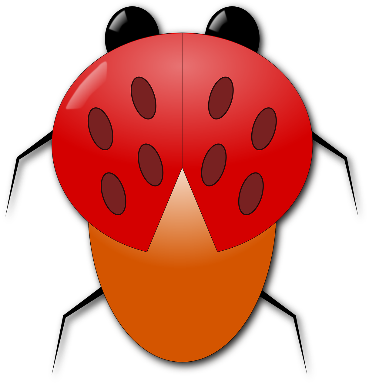 ladybug beetle nature free photo