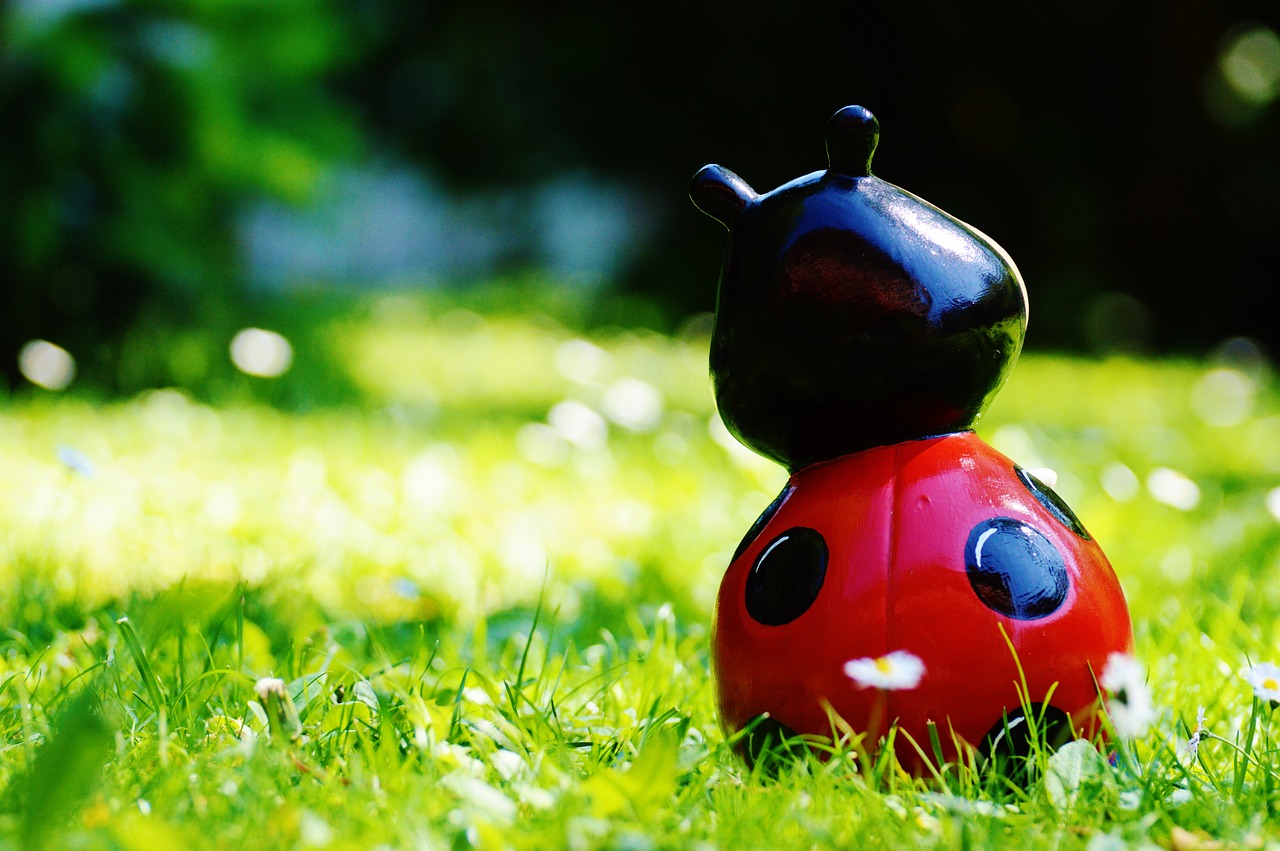 ladybug figure funny free photo