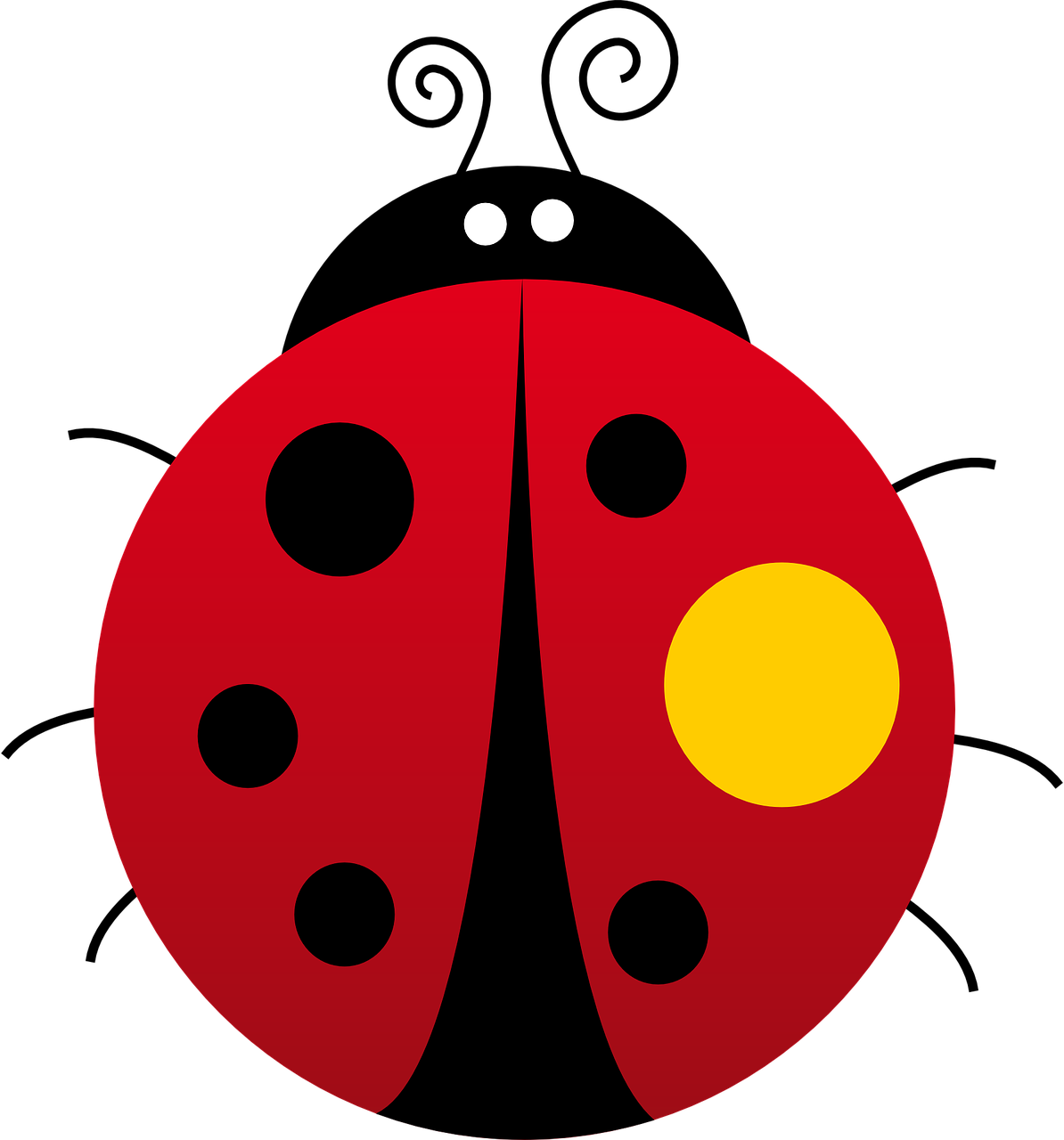 ladybug beetle red free photo