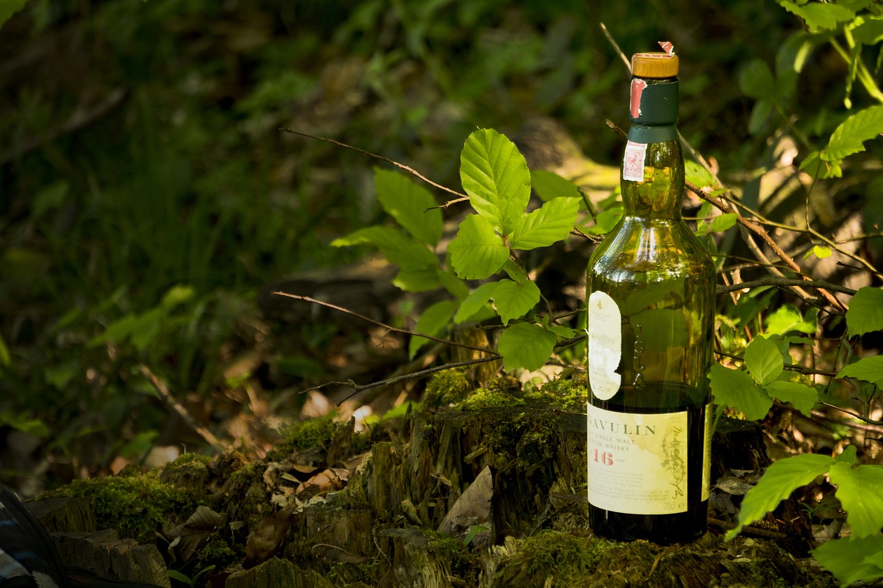 lagavulin  whiskey  nature free photo