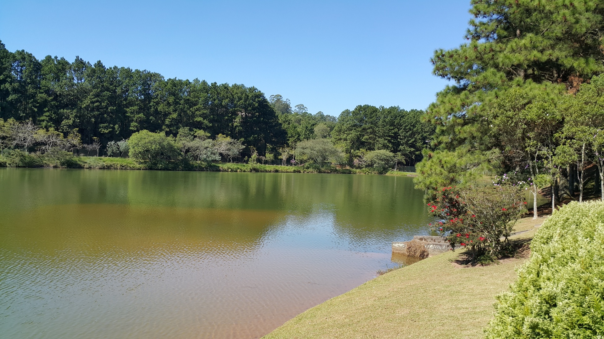 nature lake barueri free photo