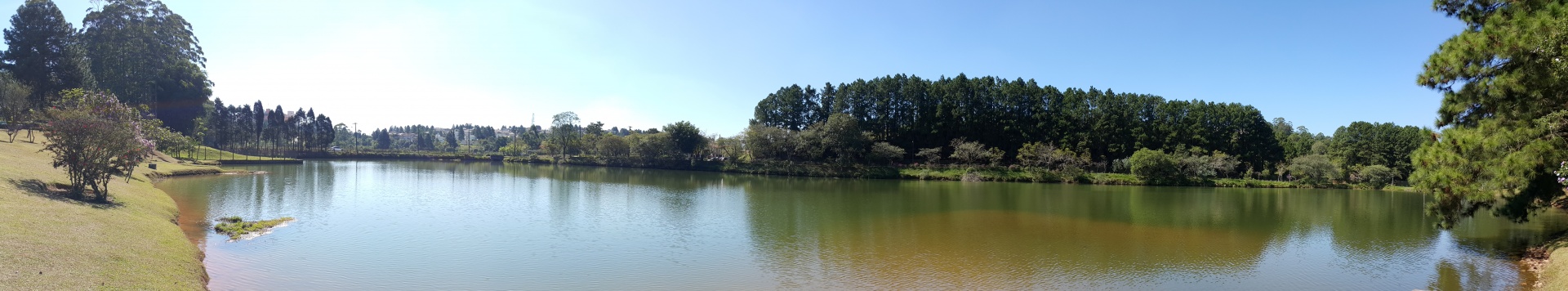 nature lake barueri free photo