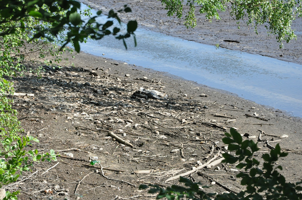 lagoon mussels stream free photo