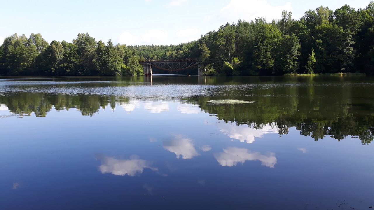 lagoon nature summer free photo