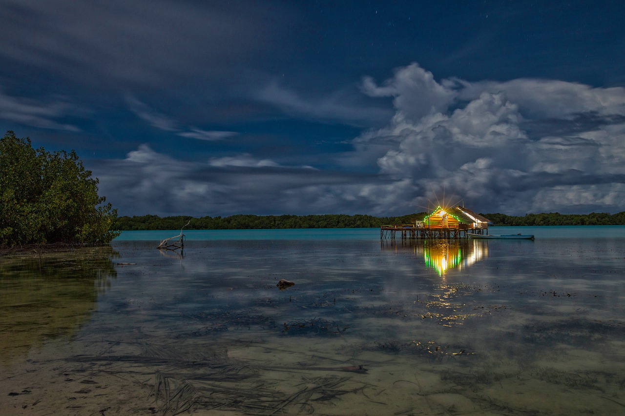 lagoon night view the water shed free photo