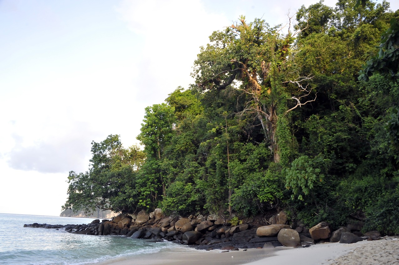 lagoon sea side free photo