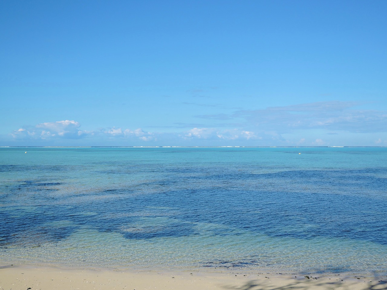 lagoon reef pacific ocean free photo