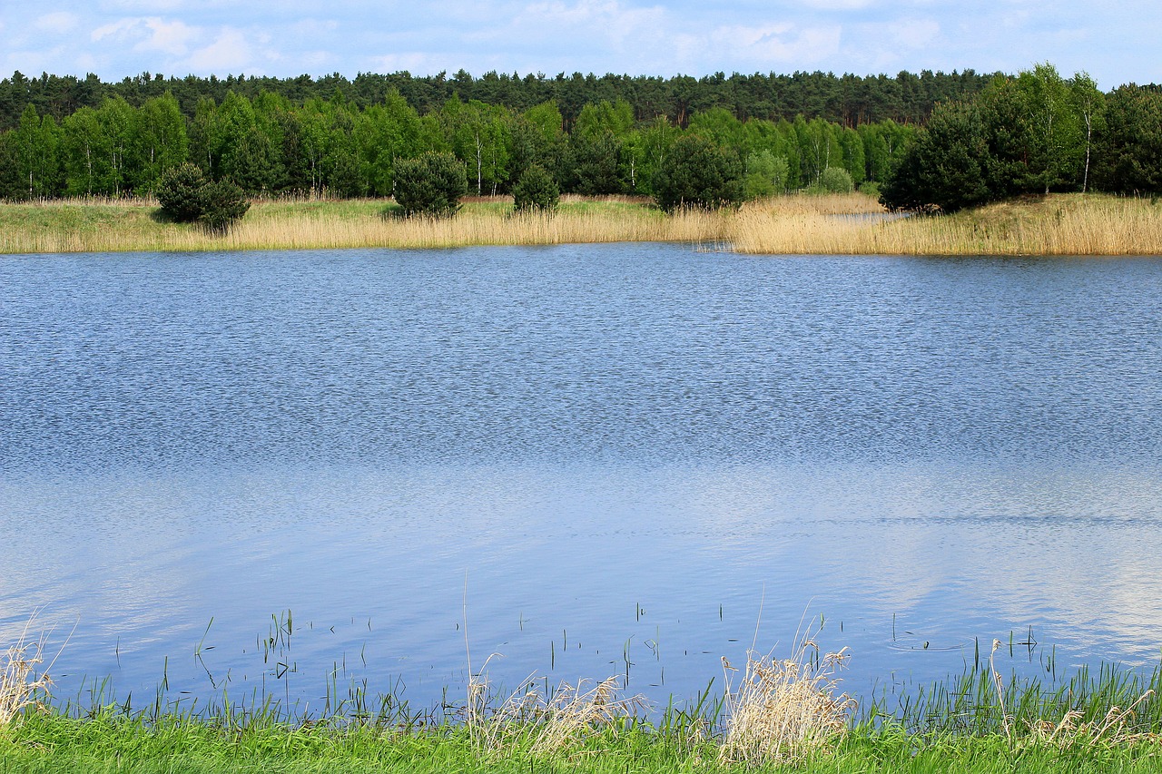 lagoon  pool  pond-water free photo