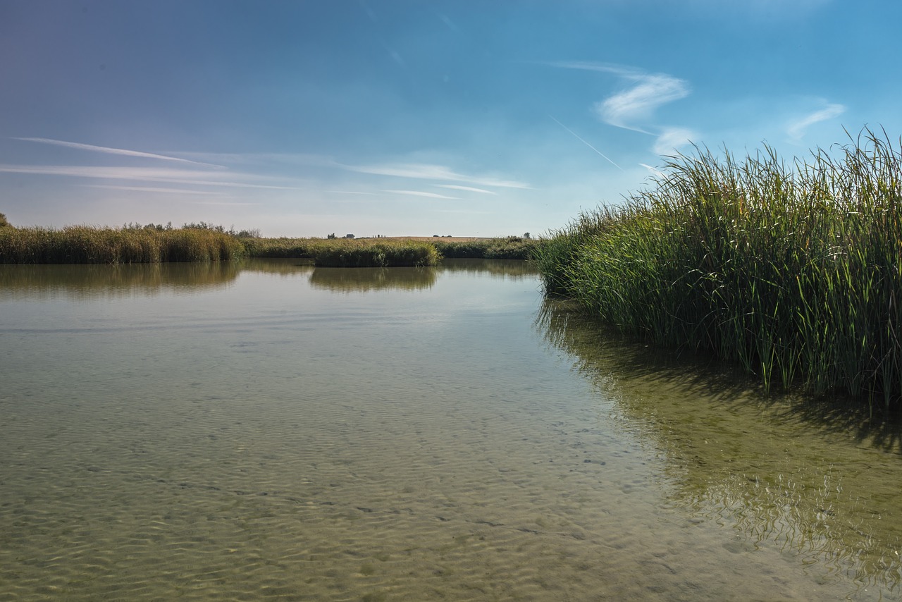 laguna lake fishing free photo