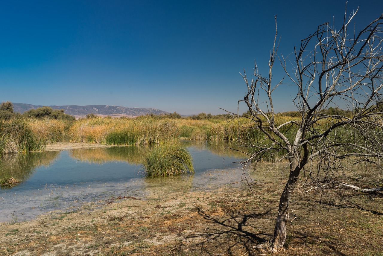 laguna lake fishing free photo