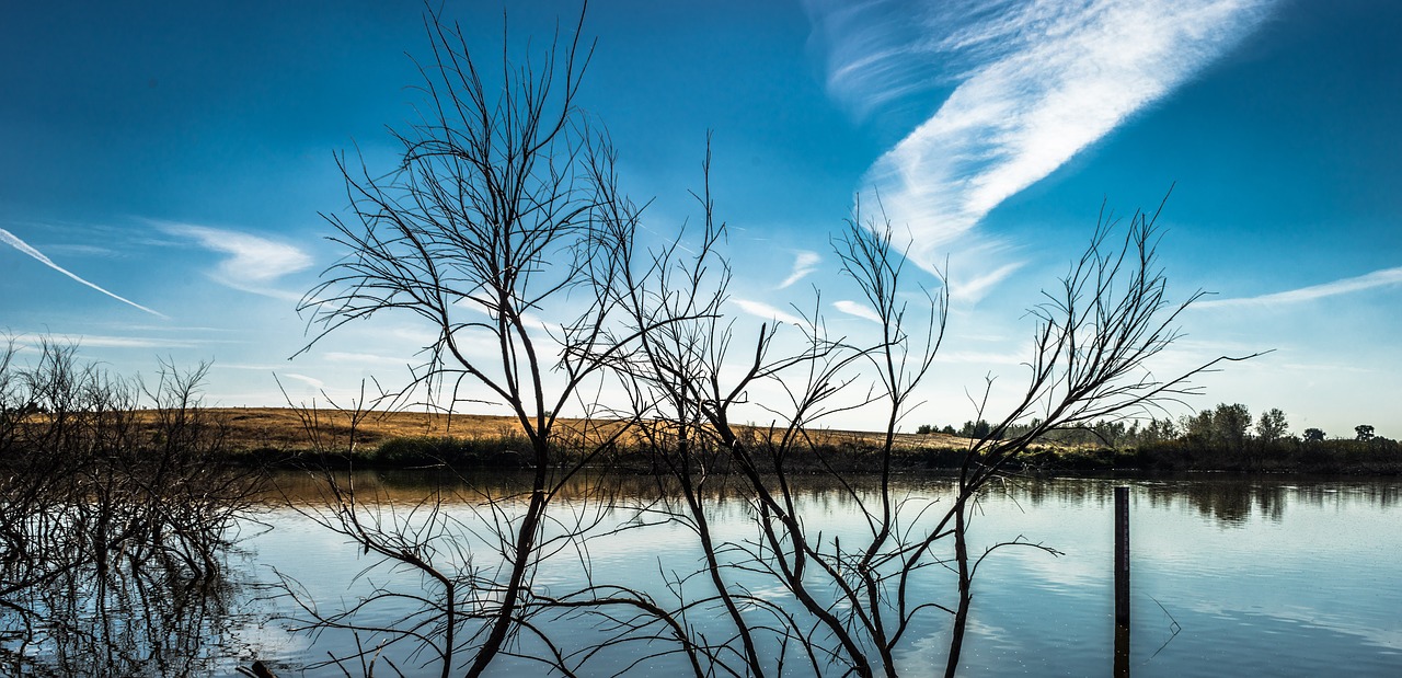 laguna lake fishing free photo