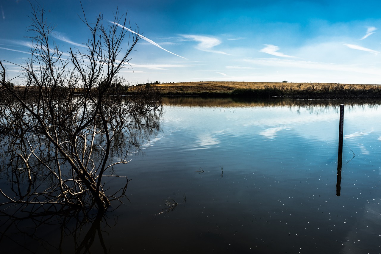 laguna lake fishing free photo