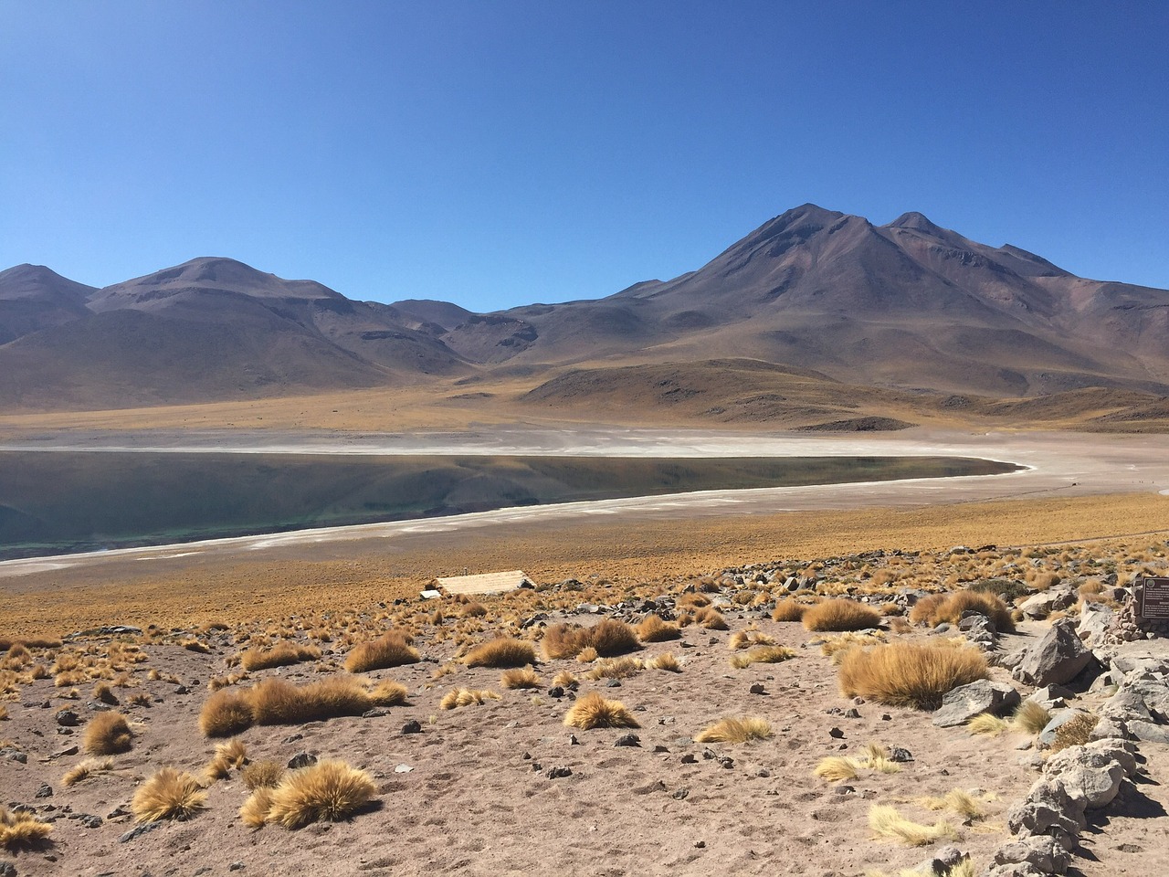 laguna altiplanica chile free photo