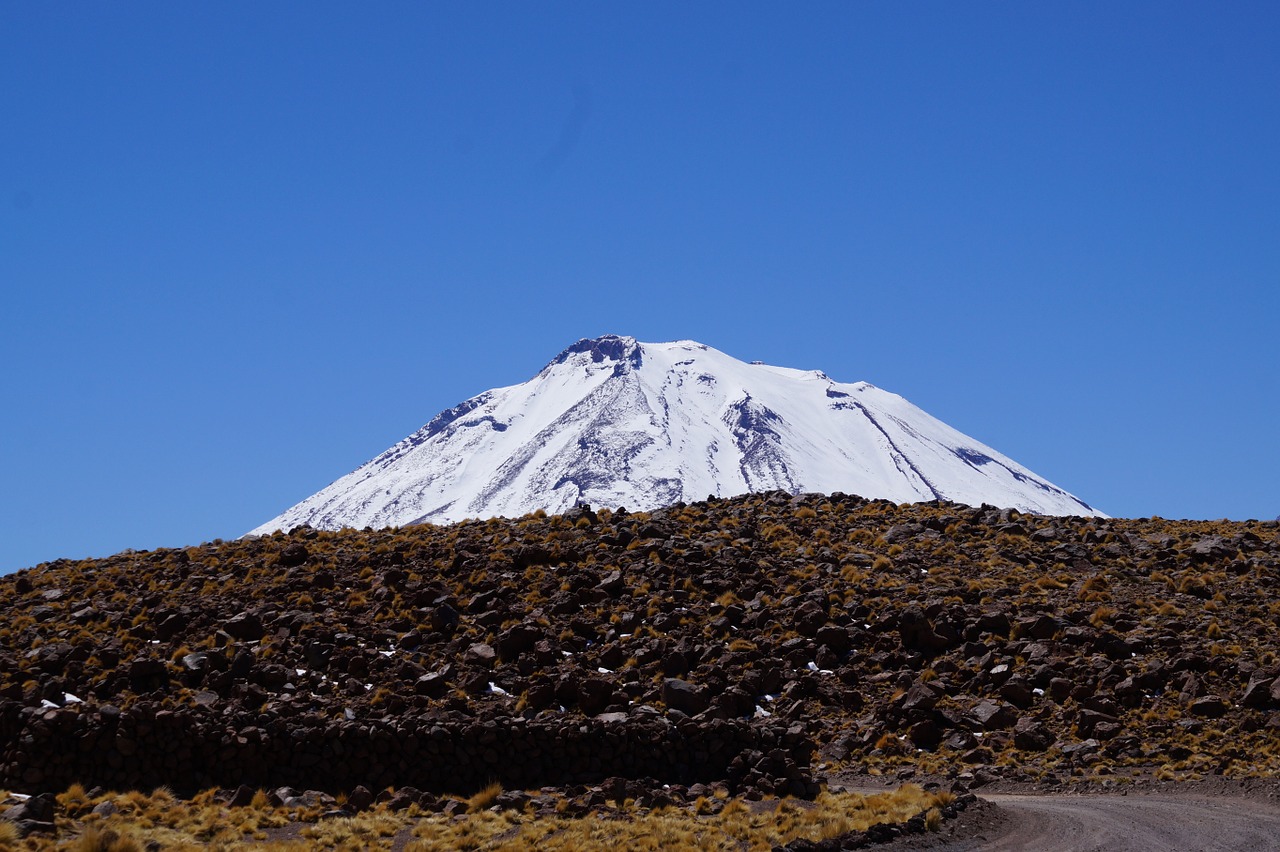 laguna altiplanica chile free photo