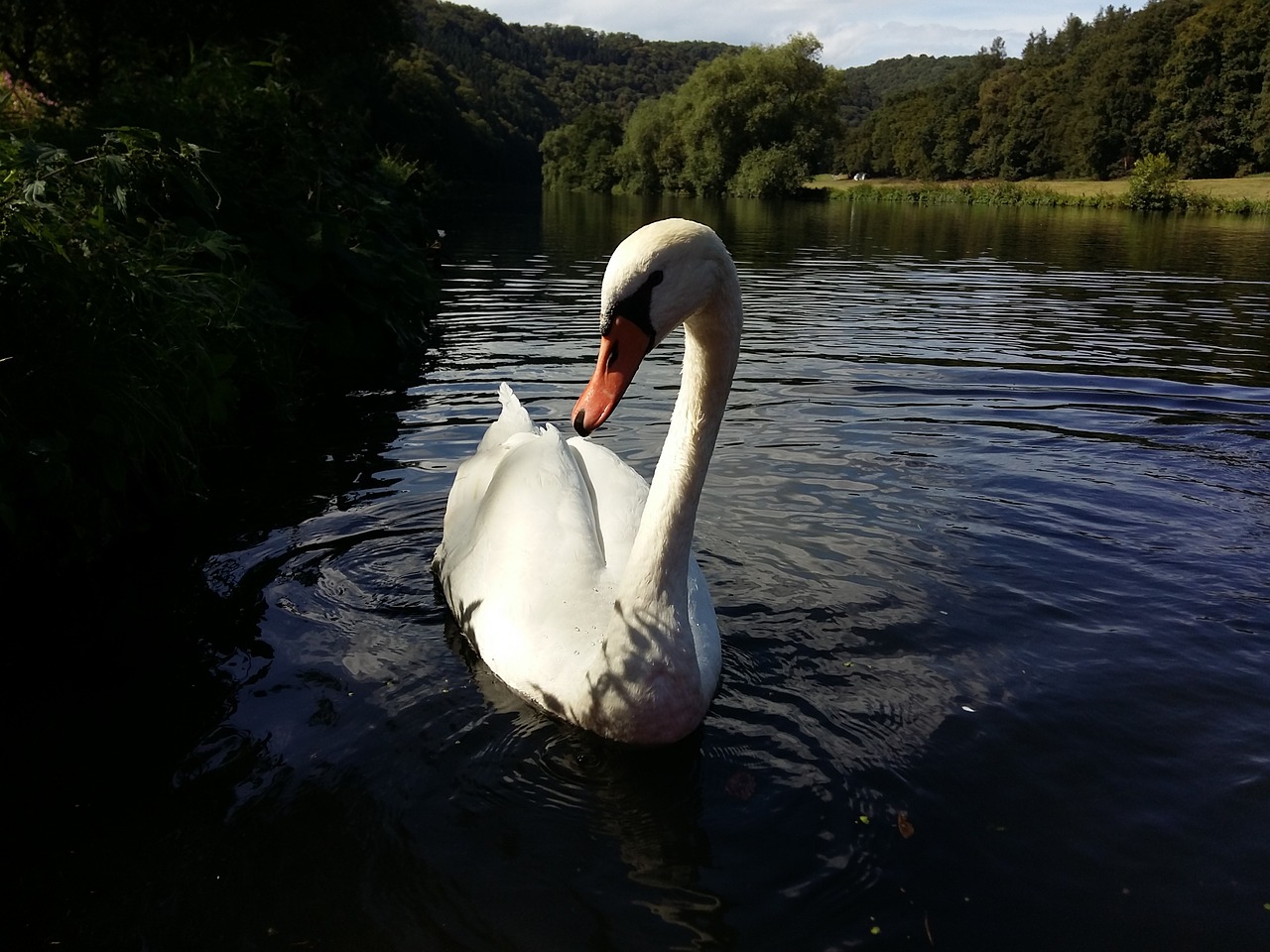 lahn river nature free photo