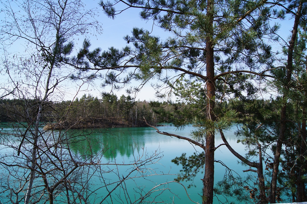 lake forest landscape free photo