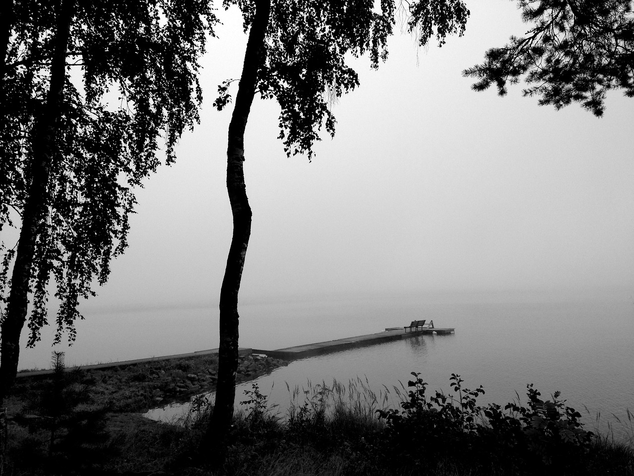 lake fog peer free photo