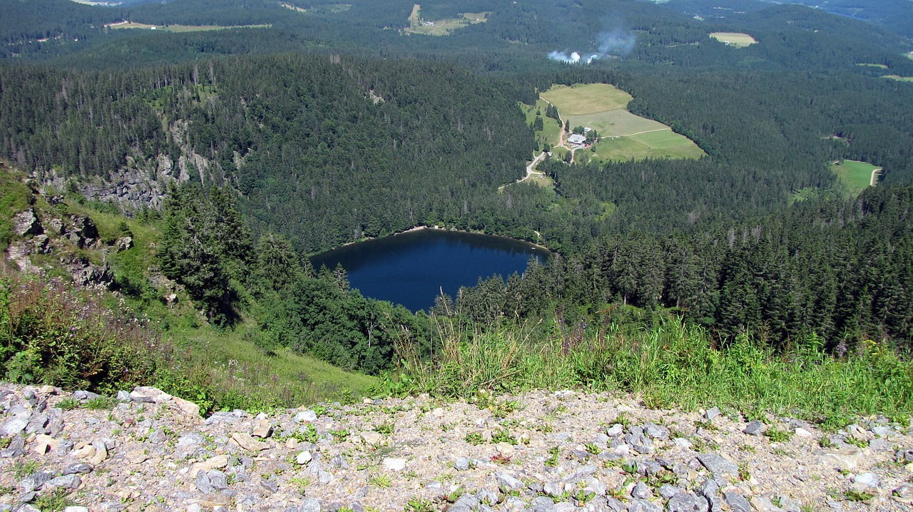 lake box lake black forest free photo