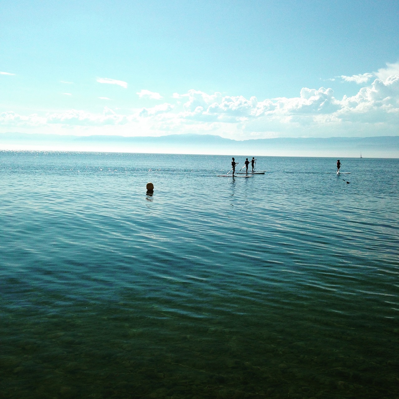 stand-up paddle lake board free photo