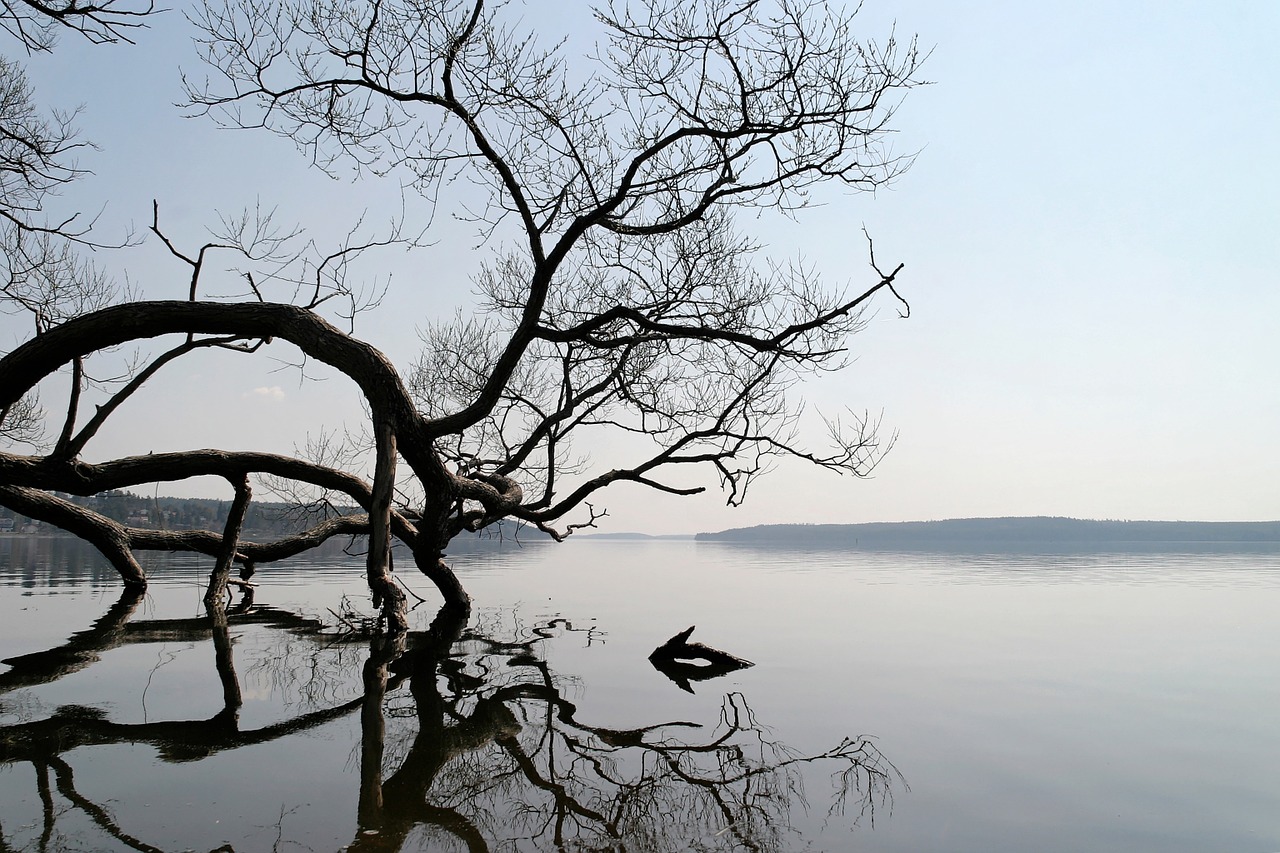 lake landscape water free photo