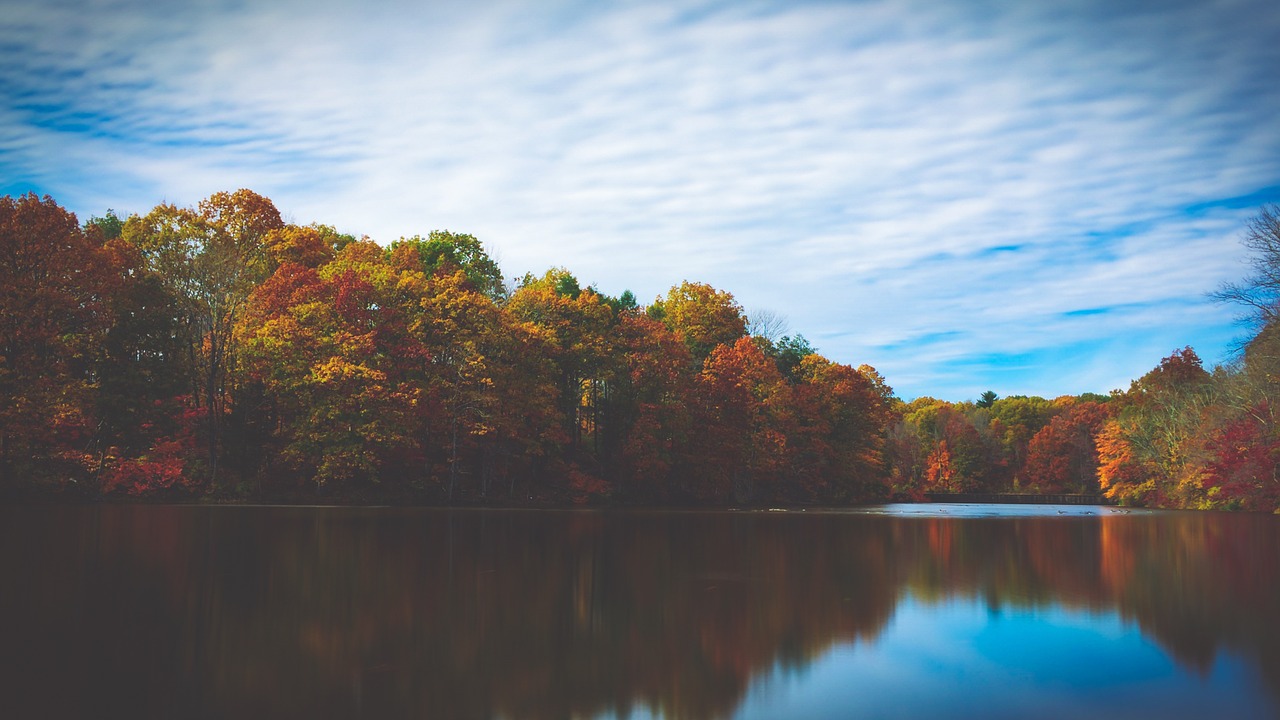 lake trees reflection free photo