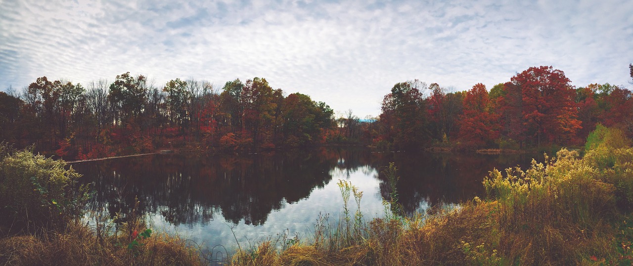 lake pond autumn free photo