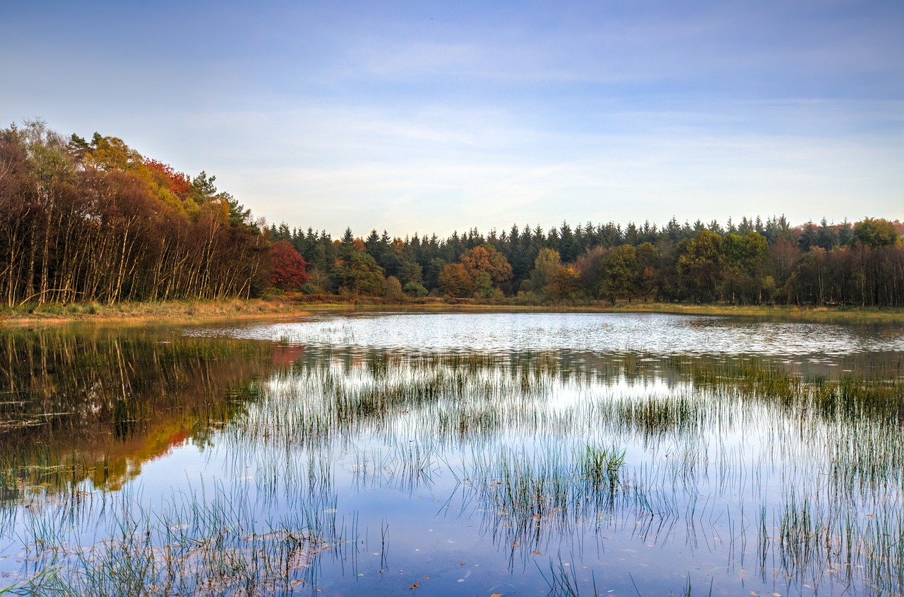 lake trees autumn free photo