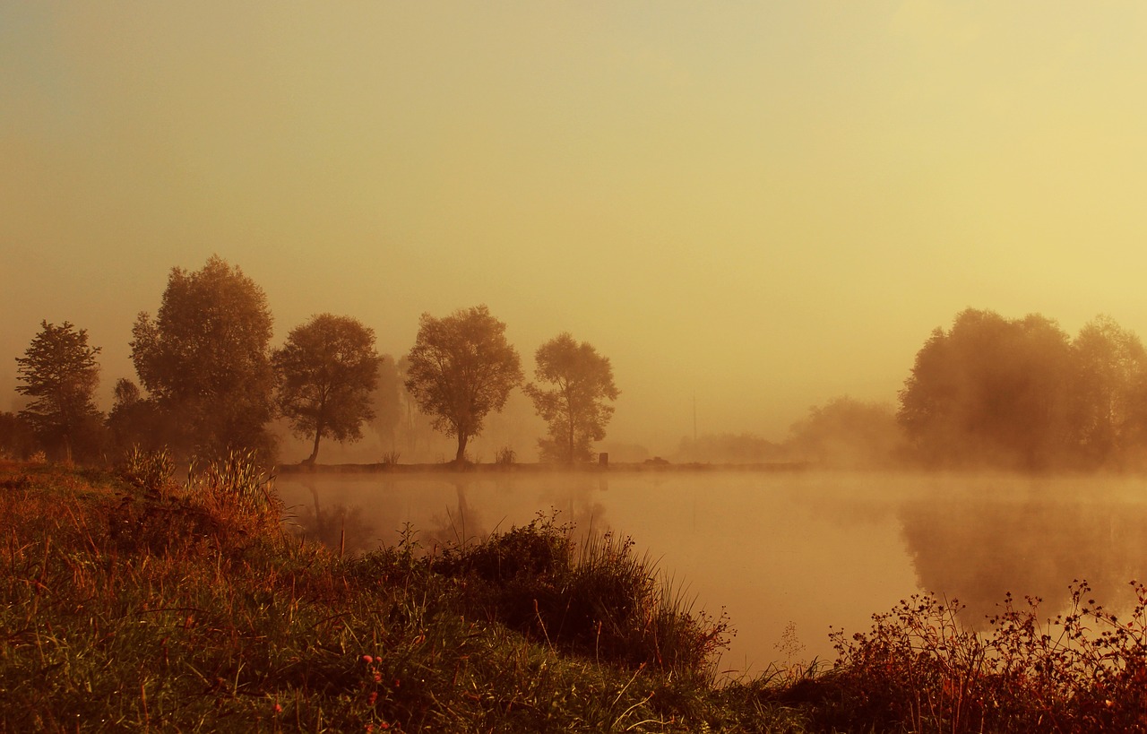 lake morning nature free photo