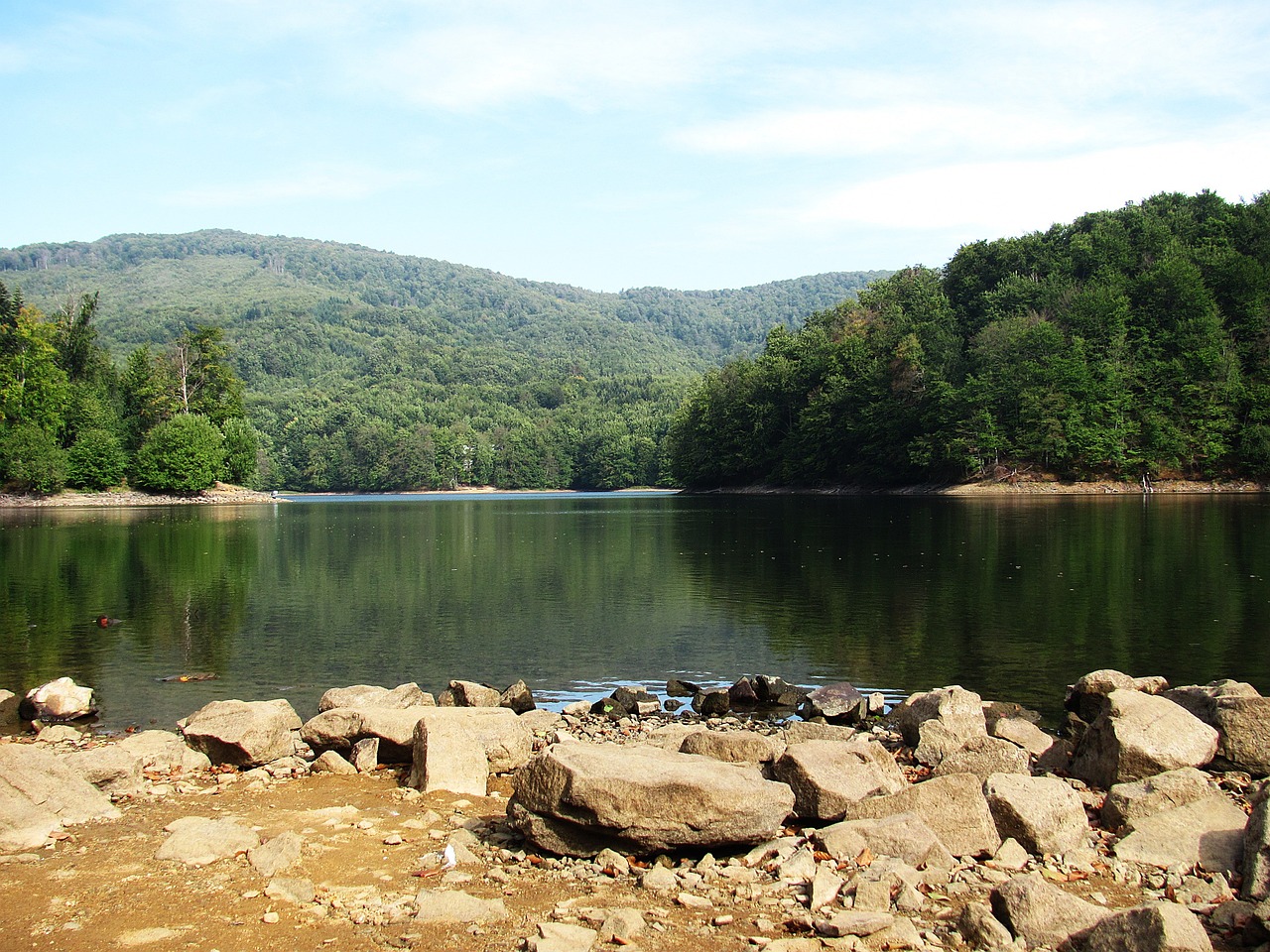 lake pond water free photo