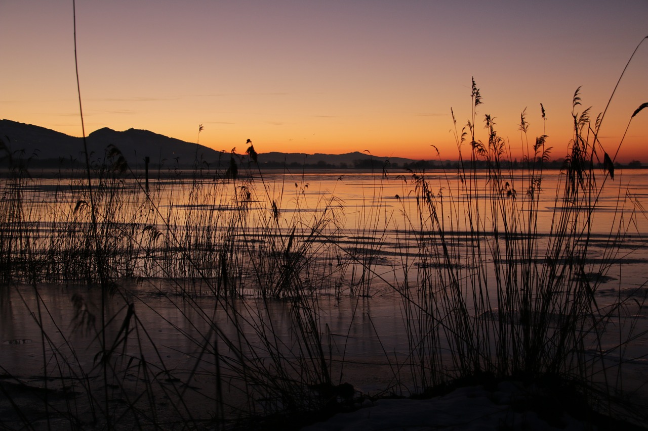 lake winter evening free photo