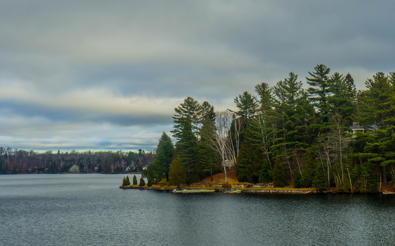 lake forest canada free photo