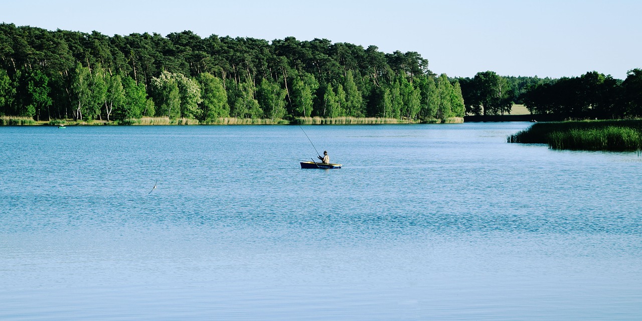 lake water nature free photo