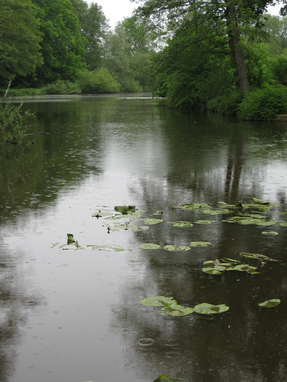 lake water landscape free photo