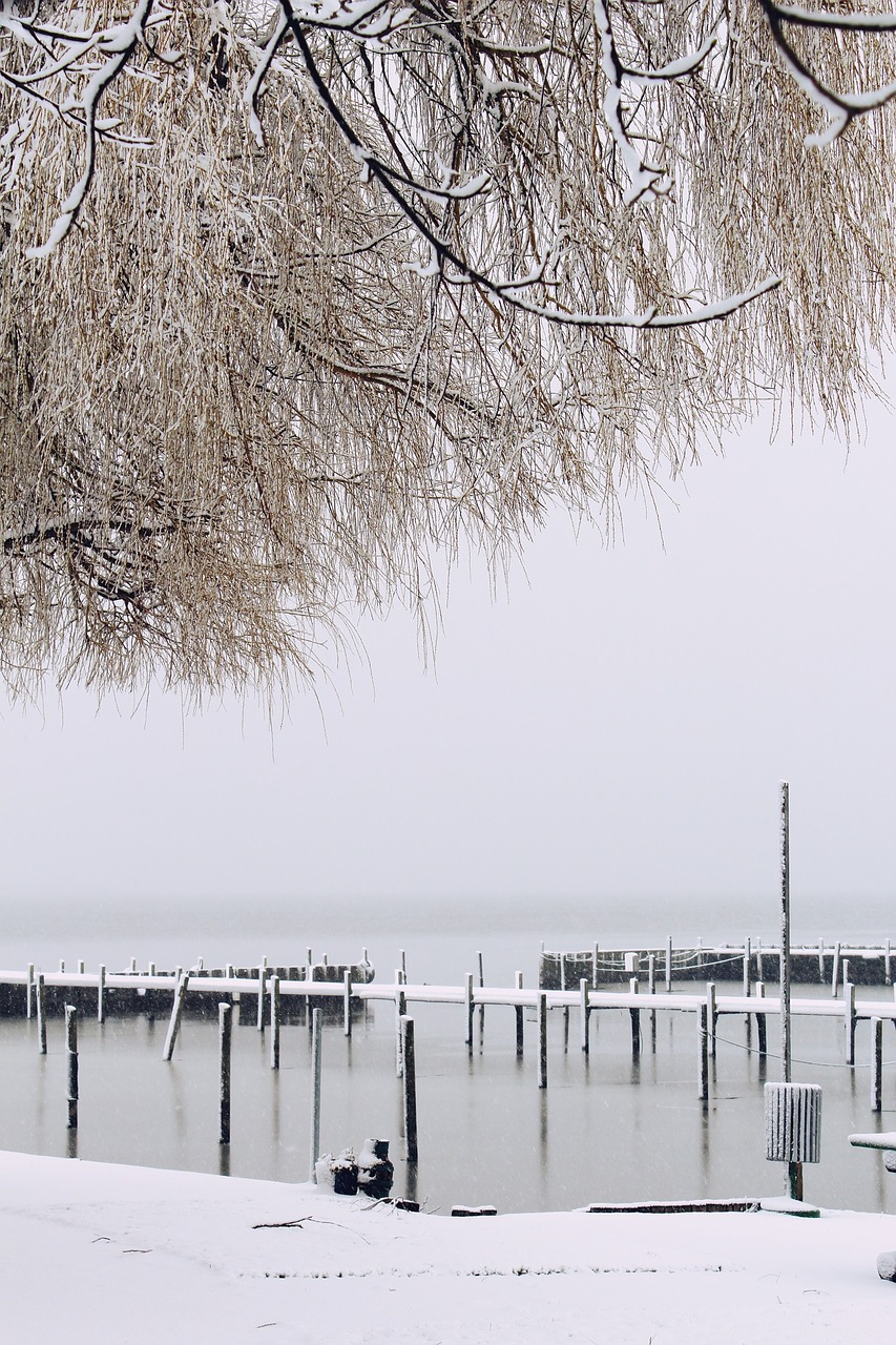 lake snow outlook free photo