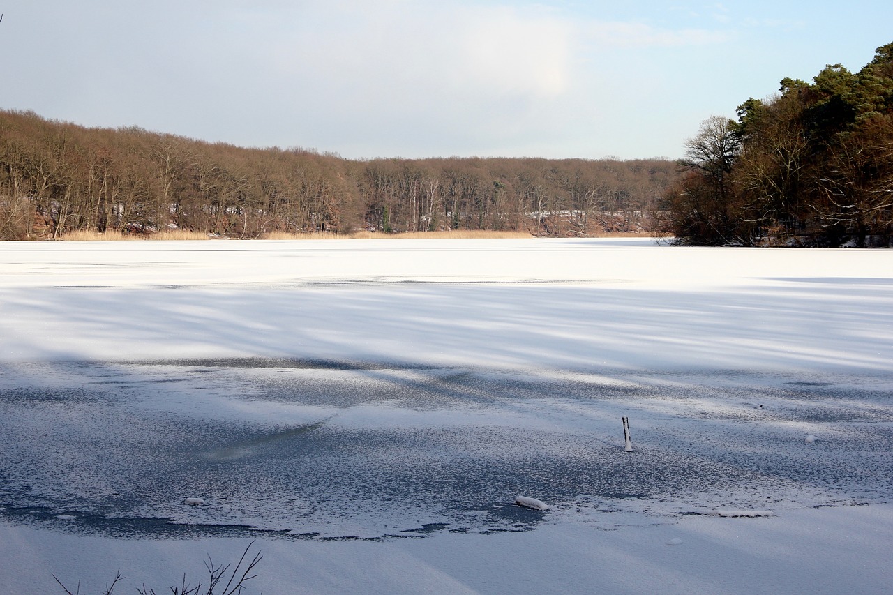 lake winter cold free photo