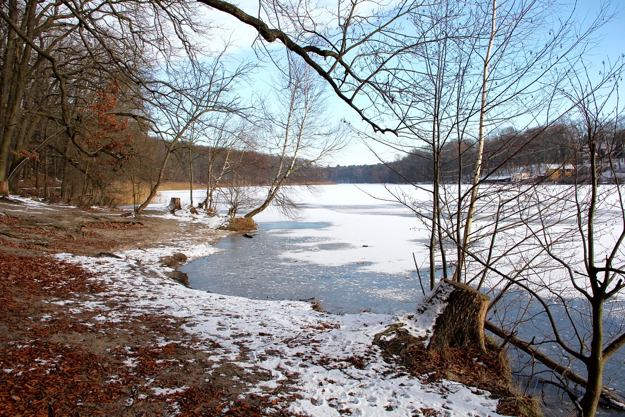 lake winter frozen free photo