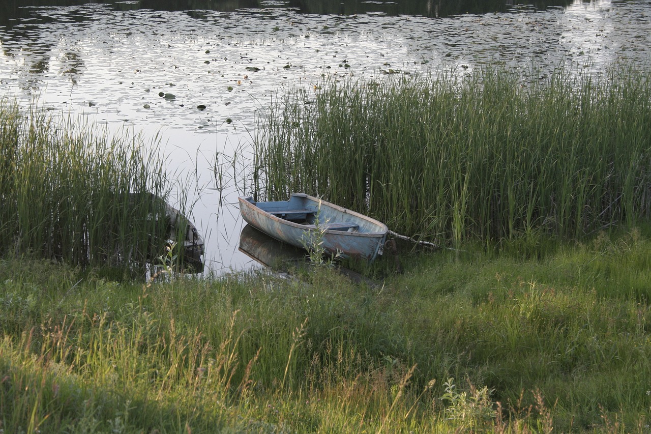 lake boat summer free photo