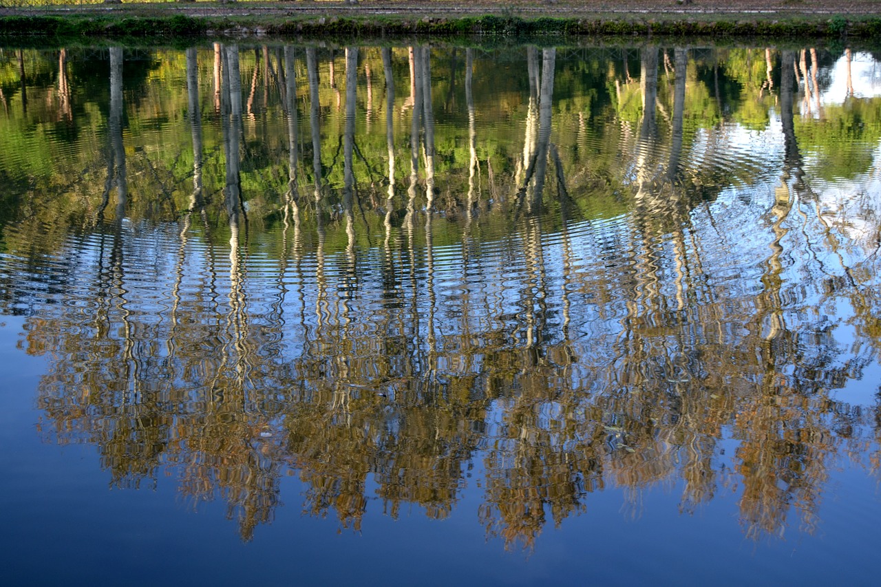 lake trees landscape free photo