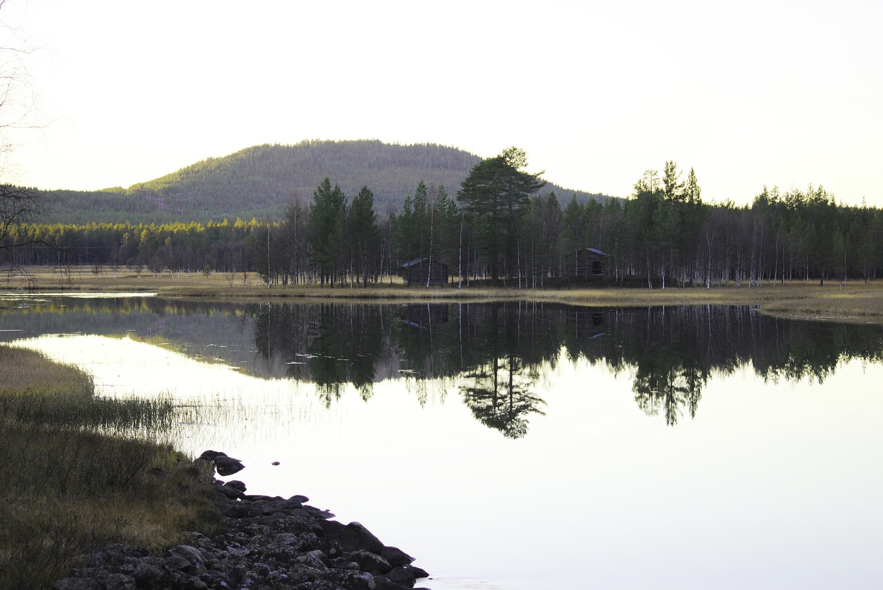 lake fish fishing free photo