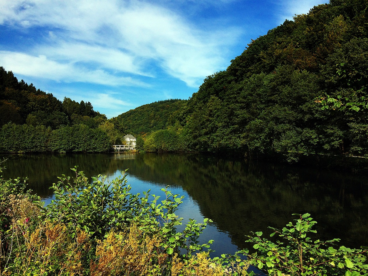 lake landscape trees free photo