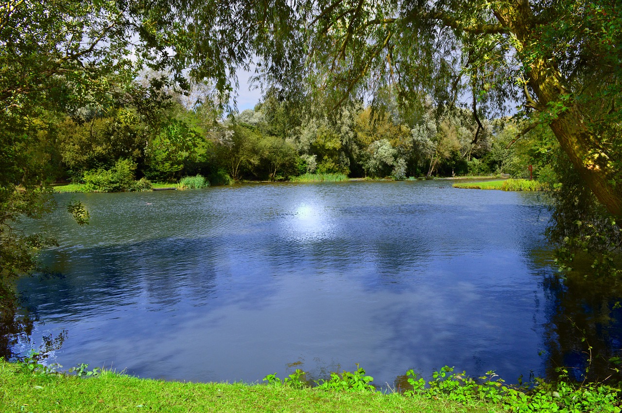 lake pond water free photo