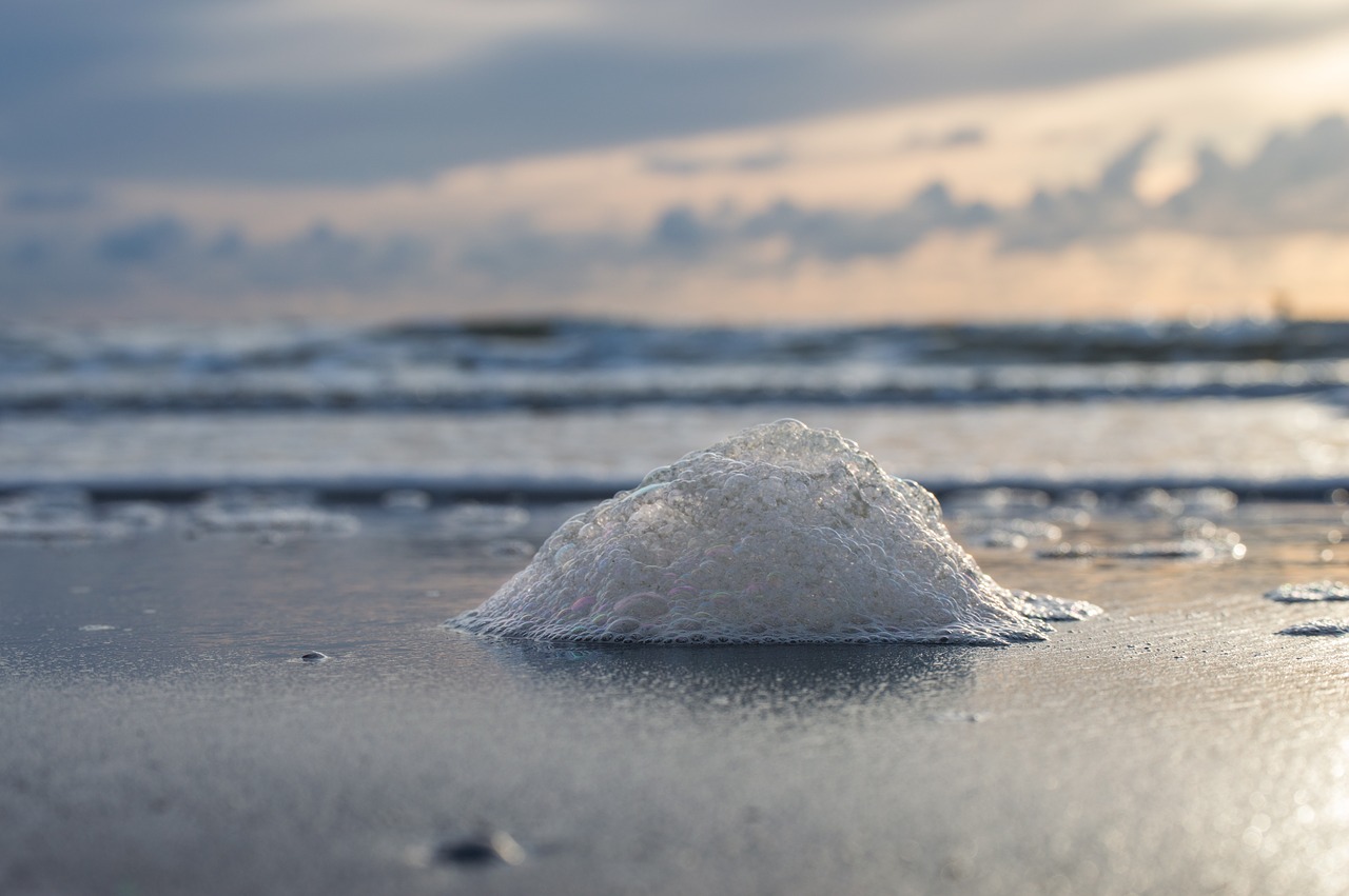 lake sea foam free photo