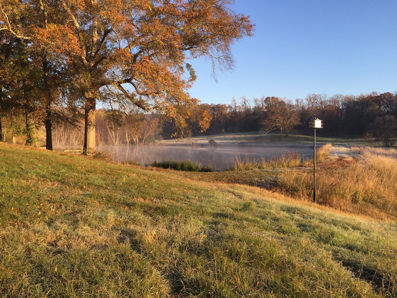 lake morning country free photo