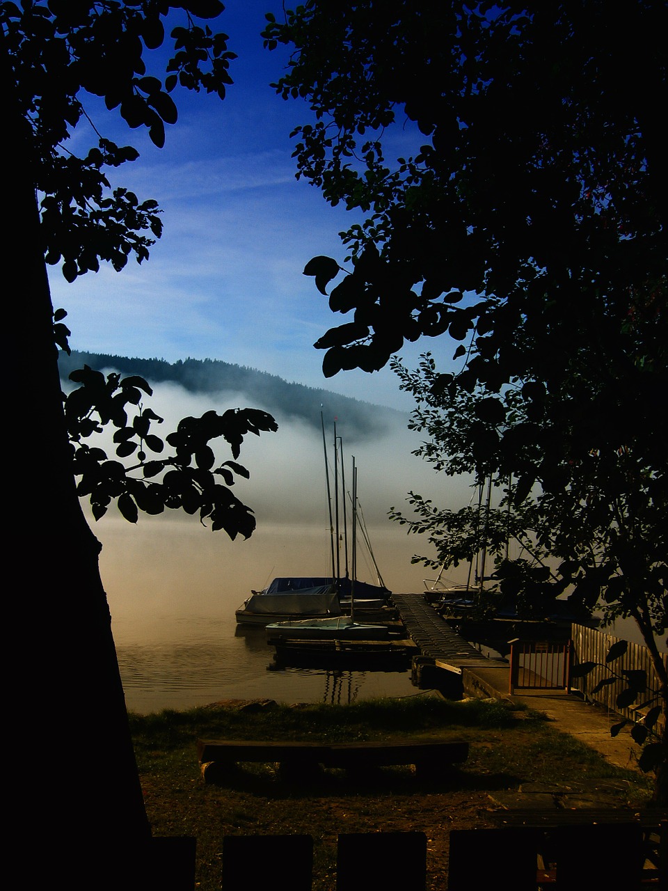 lake titisee black forest free photo